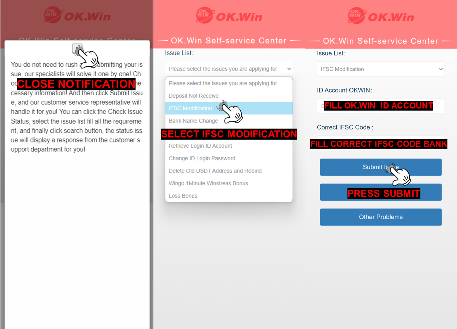 /support/IFSC MODIFICATION.png